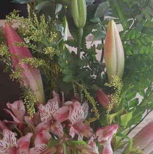 Meet your Posher, Hilda